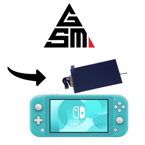 Ecran LCD Nintendo Switch Lite