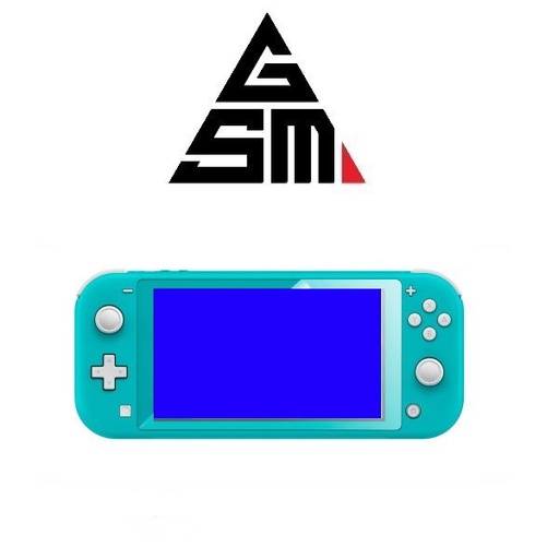 Ecran Bleu Nintendo Switch Lite